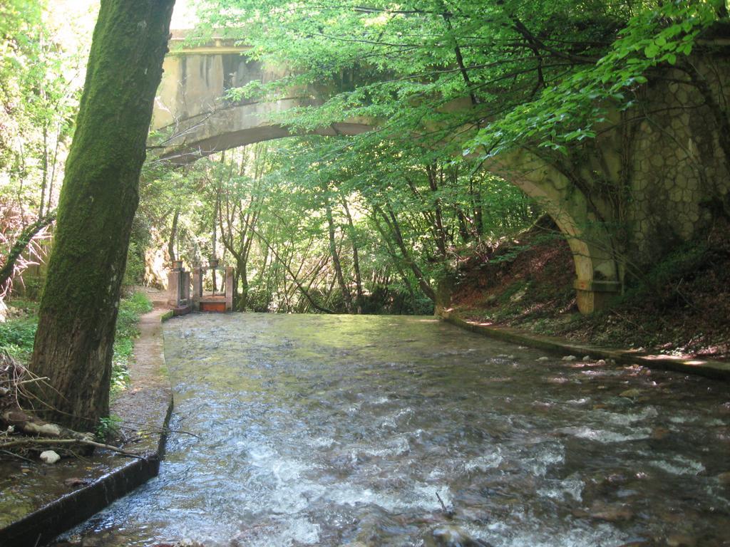 Parco Sogni D'Oro Montella Quarto foto